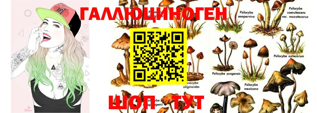 Галлюциногенные грибы GOLDEN TEACHER Бузулук