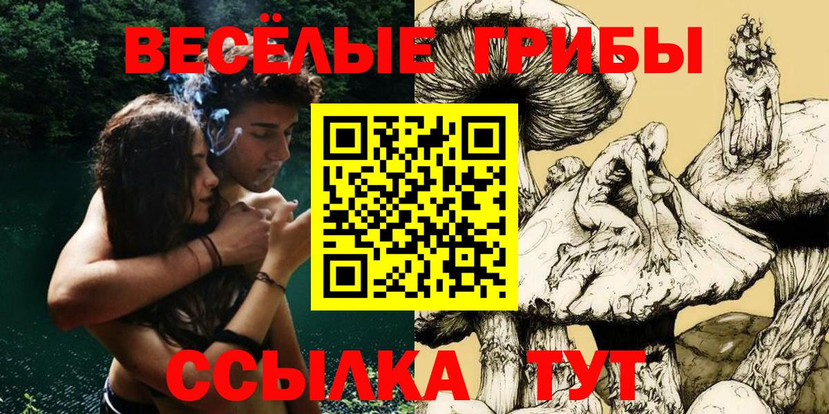 Бузулук  Псилоцибиновые грибы мухоморы  Вход с VPN 